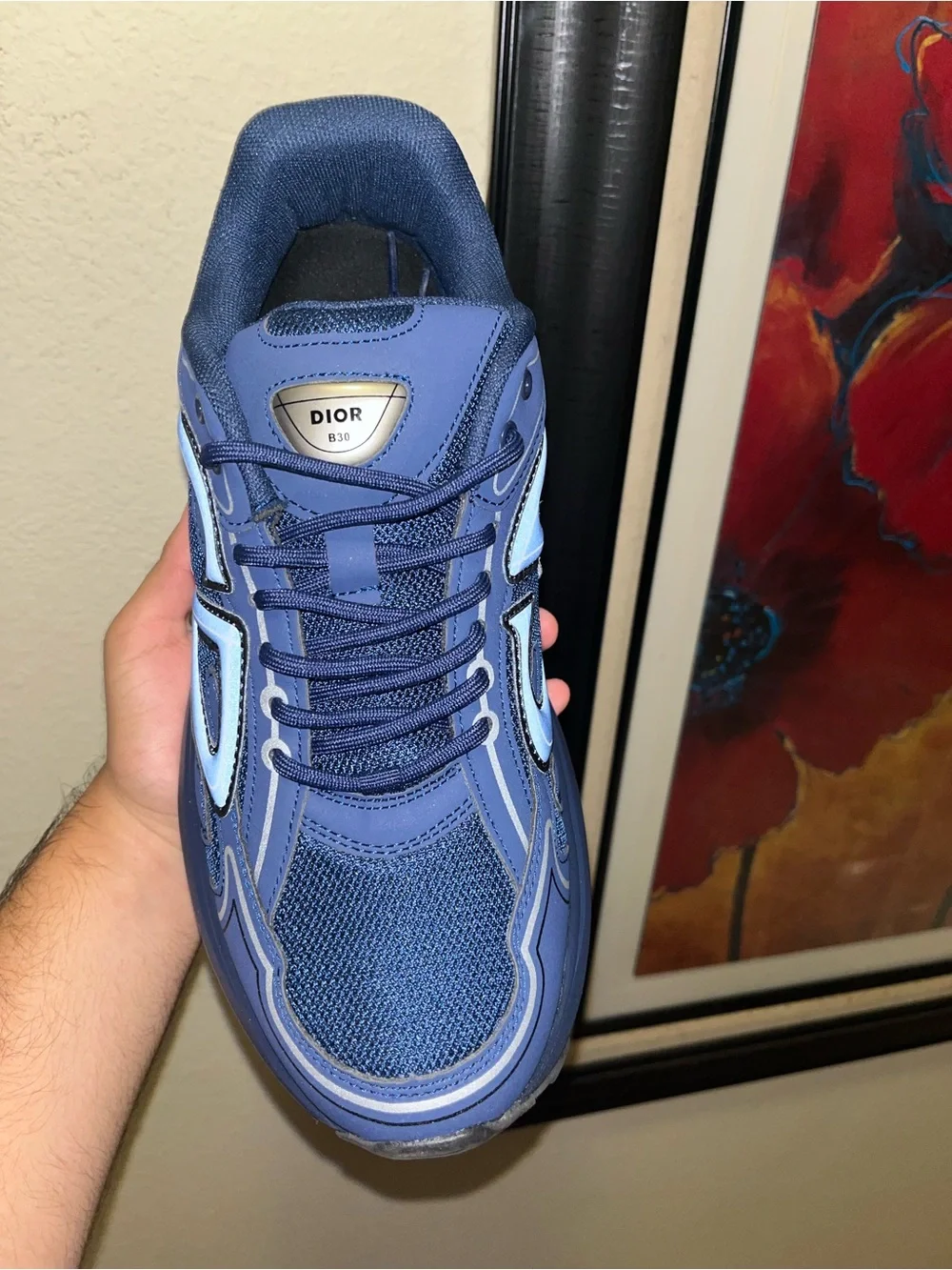 Dior b30 Men’s Navy Blue Runner Sneaker